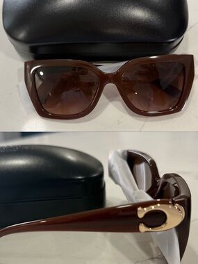 Brown Women's Fashion Sunglasses with Gold Accent